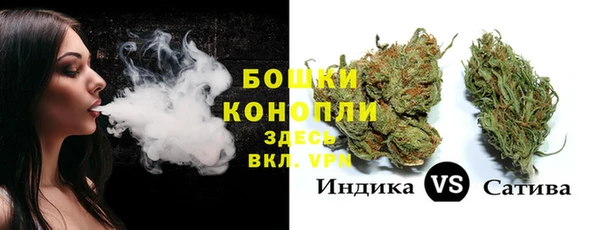 PSILOCYBIN Медвежьегорск