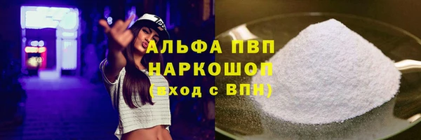 PSILOCYBIN Медвежьегорск