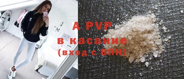 PSILOCYBIN Медвежьегорск