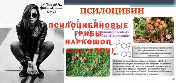 PSILOCYBIN Медвежьегорск