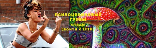 PSILOCYBIN Медвежьегорск