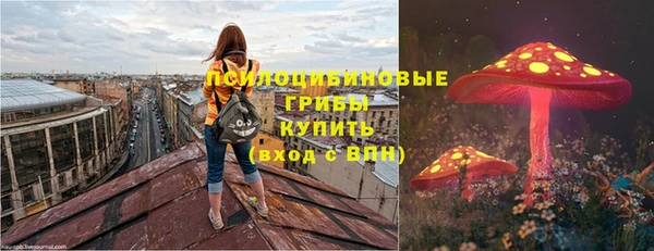 PSILOCYBIN Медвежьегорск