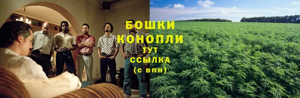 PSILOCYBIN Медвежьегорск