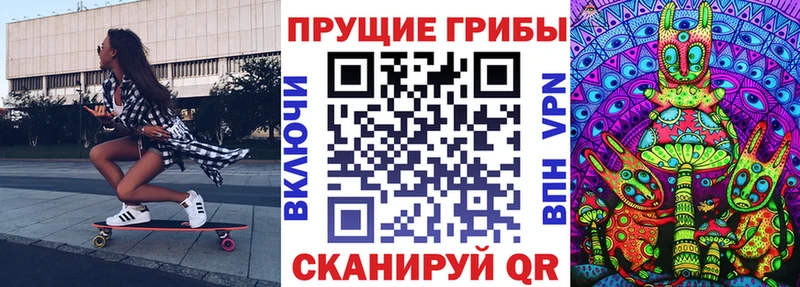 продажа наркотиков Якутск blacksprut онион Галлюциногенные грибы Psilocybe