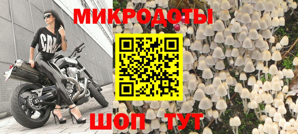 Псилоцибиновые грибы мицелий Якутск