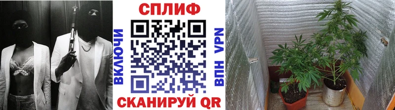 где купить наркоту  Якутск  Бошки Шишки Bruce Banner 